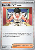 Black Belt's Training - 096/131 (96) [SV: Prismatic Evolutions]