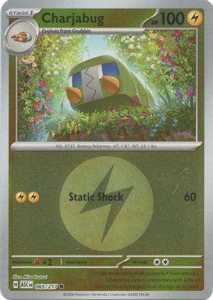Charjabug (Energy Symbol Pattern) (65) [ME: Ascended Heroes] Reverse Holofoil