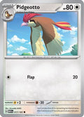 Pidgeotto (17) [SV: Scarlet & Violet 151]