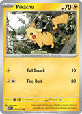 Pikachu (55) [ME: Ascended Heroes]
